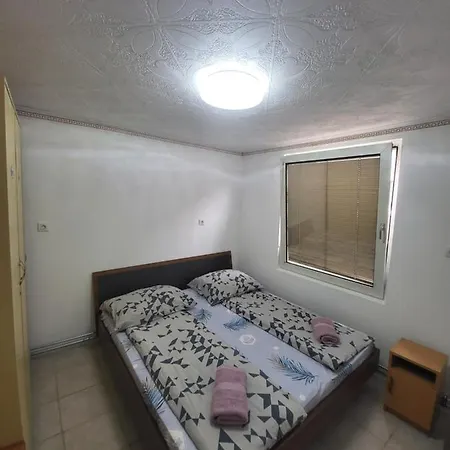 Alexandra Vendeghaz *